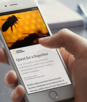 fb-article fb-article